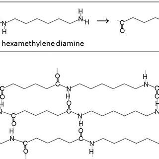 Structure of Nylon 6,6. Nylon 6,6 is a polyamide, a polymer derived ...