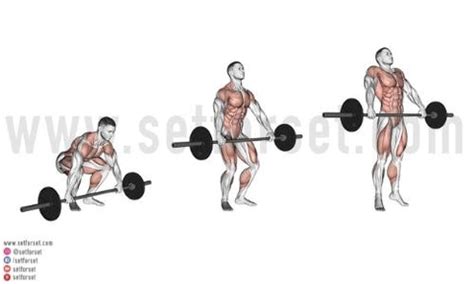 9 Best Alternatives to Upright Rows - SET FOR SET