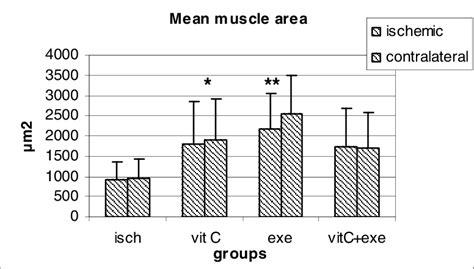 Mean SD Of EDL Muscle Fiber Cross Sectional Area In All Groups P