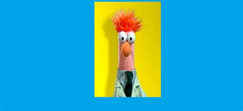 Beaker Muppet Fanon Wiki Fandom Powered By Wikia