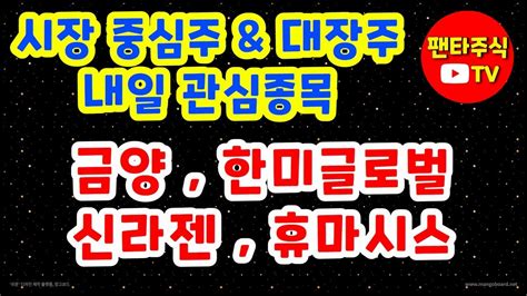 주식 대장주and 내일 관심종목신라젠한미글로벌휴마시스금양카카오게임즈에스엠미래나노텍에코프로포스코엠텍성우하이텍이브이