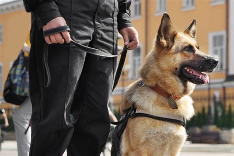 Polizeibericht Dresden Polizeiticker News Von Heute TAG24