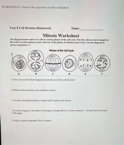 Free mitosis diagram worksheet, Download Free mitosis diagram worksheet ...