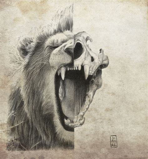 Half Lion Half Skull Drawing - Drawing.rjuuc.edu.np