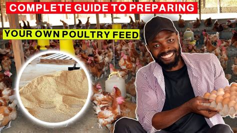 The Easiest Way To Prepare Your Own Poultry Feed What Most Farmers In