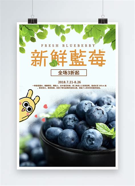 Blueberry Promotion Poster Template Imagepicture Free Download