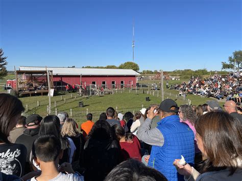 Richardson 2023 Corn Maze Design Revealed! — McHenry County Living