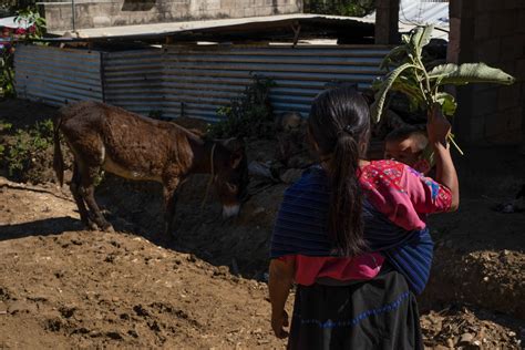 Aumenta La Pobreza Extrema En El Sexenio