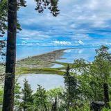 Dungeness Spit Trail - Washington | AllTrails