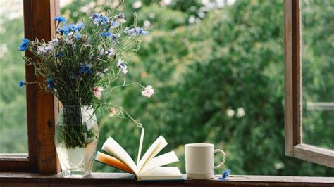 books  books   read stories  book lovers womans world