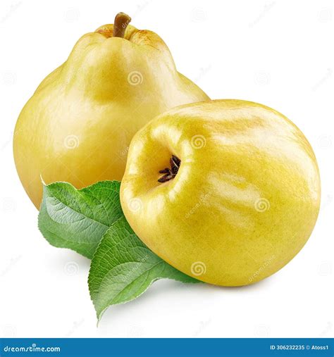 Isolated Quince Whole Quince Fruit And A Piece With Leaves Isolated On