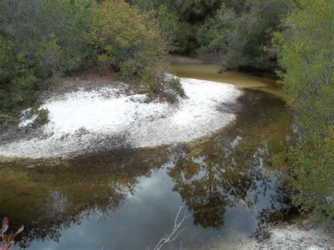 Bear Creek! | Outdoor, Bear creek, River