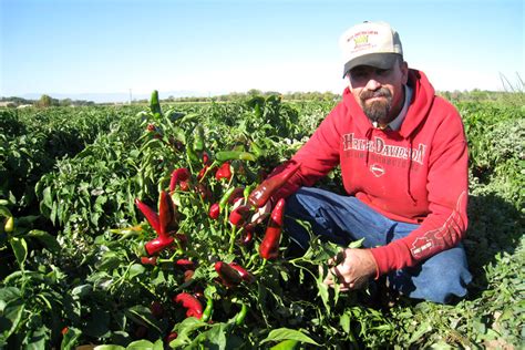 Blog Shane Milberger Chile Grower And Processor Eat Your World