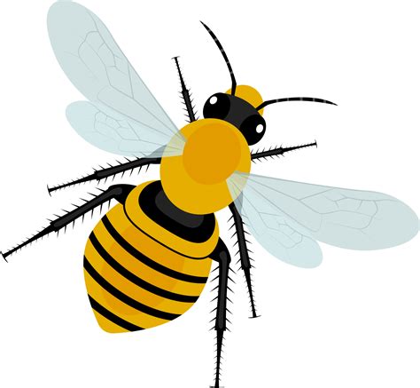 Honey Bee And The Hive Clipart