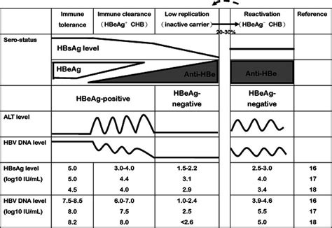 Hbsag Levels In Different Phases Of Chronic Hbv Infection Hbeag Download Scientific Diagram