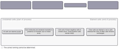 Microbiology Mastering Microbiology Homework Chapter 4 Diagram Quizlet