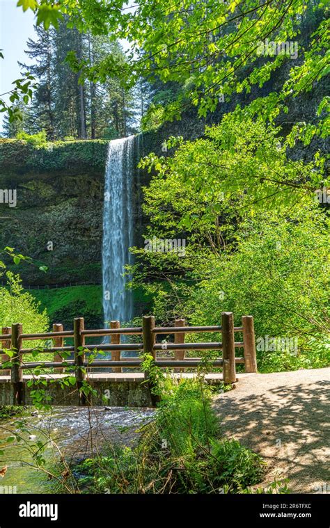 A Veiw Of A Walking Bridge And South Falls At Silver Falls State Park In Oregon State Stock