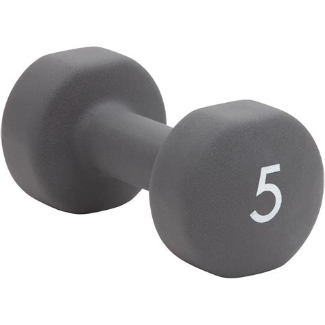 Abilica Dumbbell 5 Kg Dumbbell 5kg Grey Til 399 Fra Allematpriserno