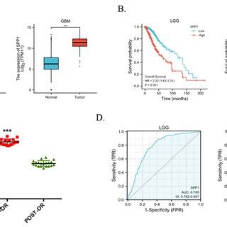 Abbreviations Spp Secreted Phosphoprotein Gbm Glioblastoma