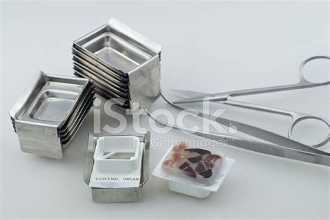 Histology Equipment Stock Photo Royalty Free Freeimages