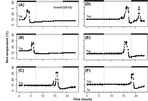 Skin Temperature Upper Trace Of Six M Lucifugus Showing The Timing Download Scientific