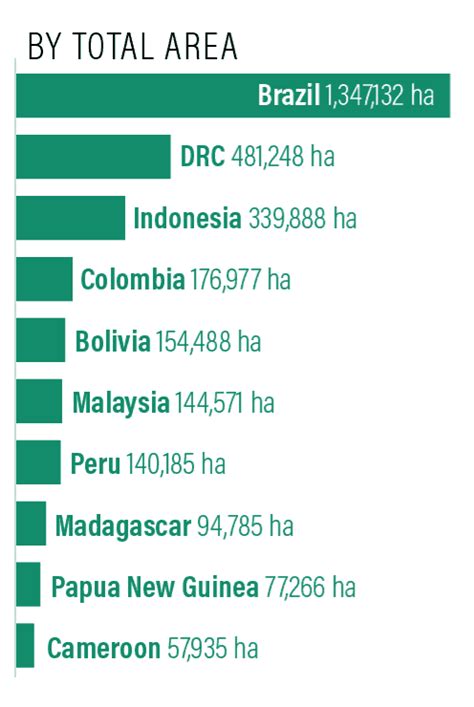 El Planeta Perdi Millones De Hect Reas De Bosques Tropicales En El