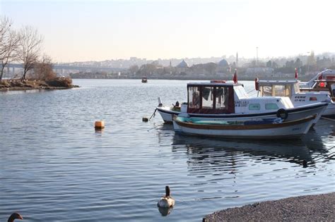 Pato Nadando Entre Barcos Amarrados En El Puerto Deportivo Foto Premium