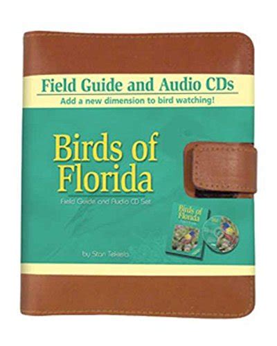 Birds Of Florida Field Guide And Audio Set Bird Identification Guides