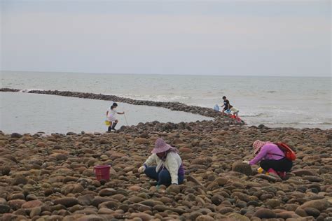 苗栗後龍私房景點 後龍合歡石滬苗栗文化觀光旅遊網