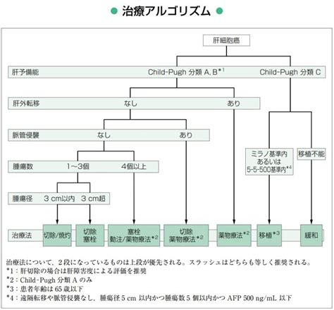 肝がんの診断と治療｜北九州市八幡東区中央の内科、肝臓内科なら かじわらクリニック