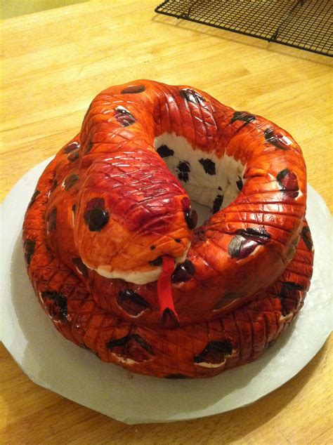 Snake Cake With Chocolate Chips