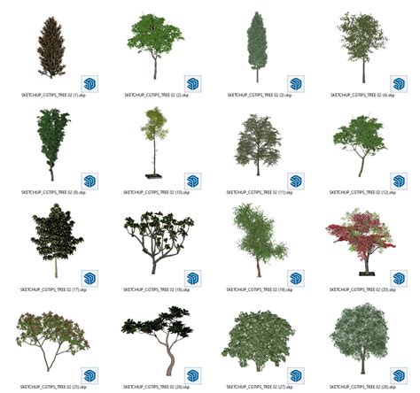 Sketchuptrees Sketchup Trees 2d Trees 3d Trees Sketchup 60 Off