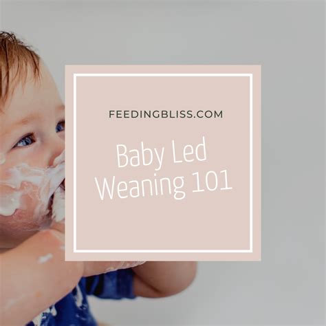 Baby-Led Weaning 101: A Beginner's Guide - Feeding Bliss