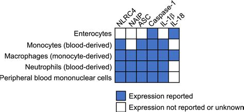 Expression Of Naipnlrc Inflammasome Components In Human Cells Asc