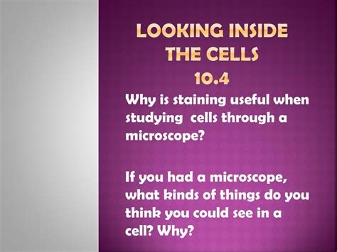 Looking Inside The Cells Ppt Download