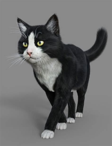 Tuxedo Cat For Mars D Models For Daz Studio And Poser