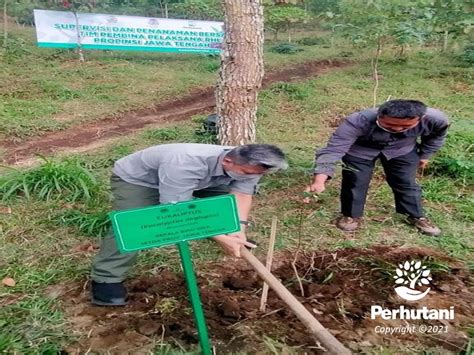 Perhutani Perhutani Bersama Tim Rhl Provinsi Jateng Lakukan Supervisi