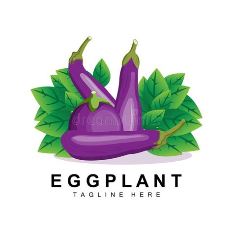 Eggplant Logo Design Vegetables Illustration Purple Vegetable