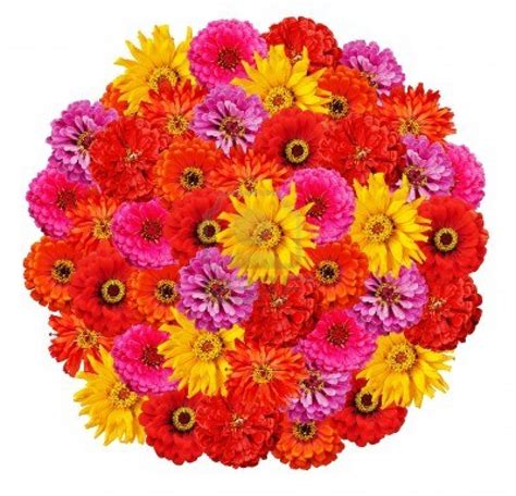 Flowers & Planets: Zinnia Flower Bouquet