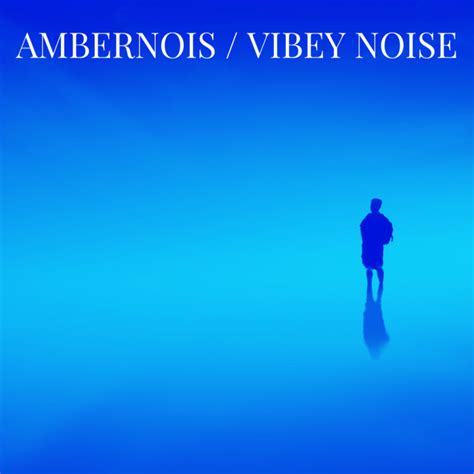 Vibey Noise Single By Ambernois Spotify