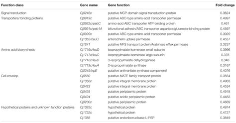 Frontiers Cj1199 Affect The Development Of Erythromycin Resistance In