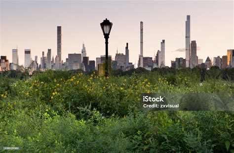 Central Park Skyline View Stock Photo - Download Image Now ...