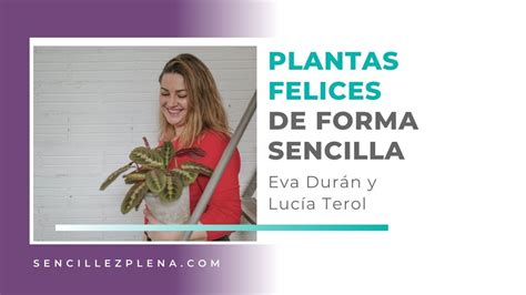 Simplifica El Cuidado De Tus Plantas Sencillez Plena