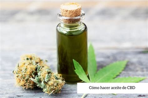 C Mo Hacer Aceite De Cbd Paso A Paso