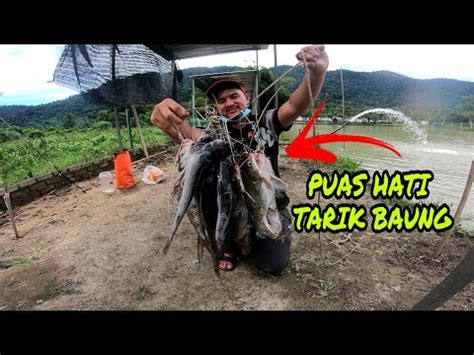 Gasak Baung Ulu Bendul Fish Valley Youtube