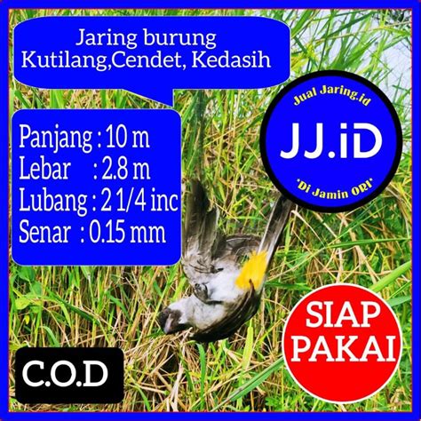 Jual Jaring Burung Kutilang Siap Pakai Jaring Kutilang Meter