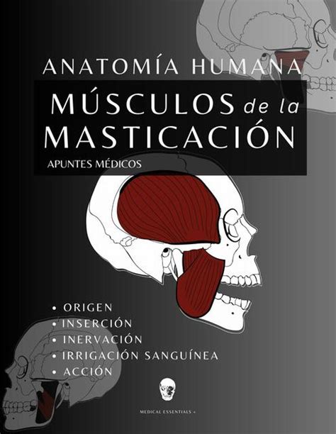 Músculos de la Masticación Anatomía y Fisiología Medical Essentials