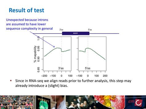 Ppt Biases In Rna Seq Data October 30 2013 Nbic Advanced Rna Seq Course Powerpoint