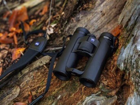 7 Best Value Binoculars For Bird Watching Binocularsradar