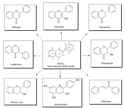 Flavonoidsclassification And Natural Sources Encyclopedia Mdpi